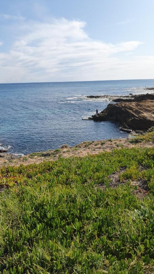 Sunny Apartament Near La Mata Beach Τορεβιέχα Εξωτερικό φωτογραφία