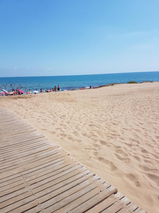 Sunny Apartament Near La Mata Beach Τορεβιέχα Εξωτερικό φωτογραφία