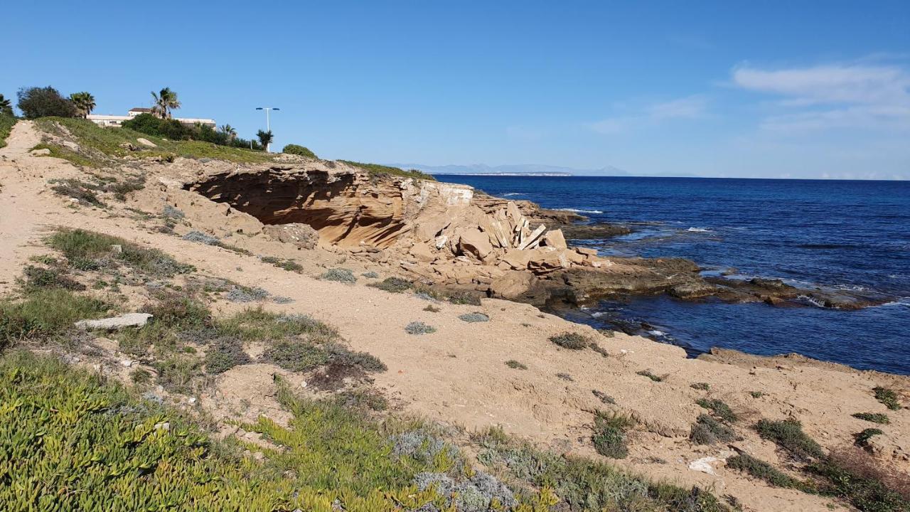 Sunny Apartament Near La Mata Beach Τορεβιέχα Εξωτερικό φωτογραφία